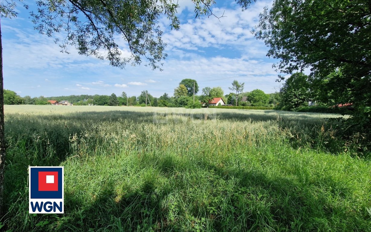 Działka budowlana na sprzedaż Skoczów, Pogórze  2 749m2 Foto 6