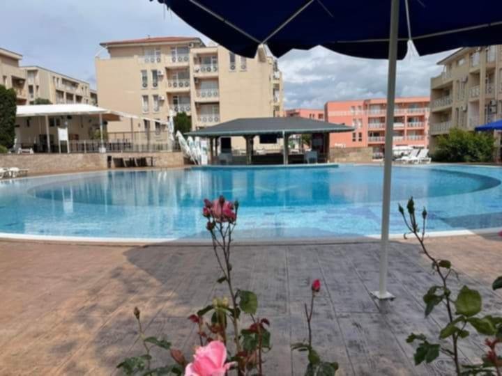 Umeblowane studio 31 m² w Sunny Day 6 – blisko plaży Bułgaria, Sunny Beach, Sunny Day 6, Sunny Beach  31m2 Foto 1