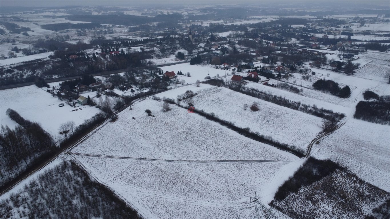 Działka budowlana na sprzedaż Lisów, Leśna  5 336m2 Foto 6