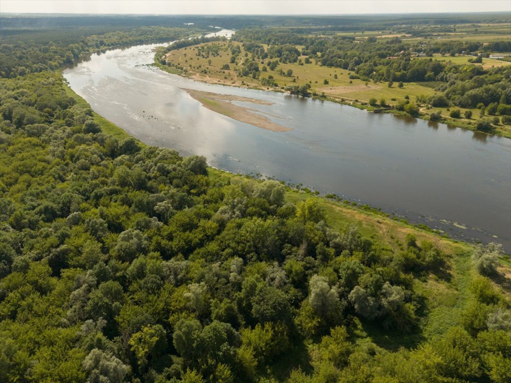 Działka leśna na sprzedaż Poddębie, Brzozowa  1 353m2 Foto 12