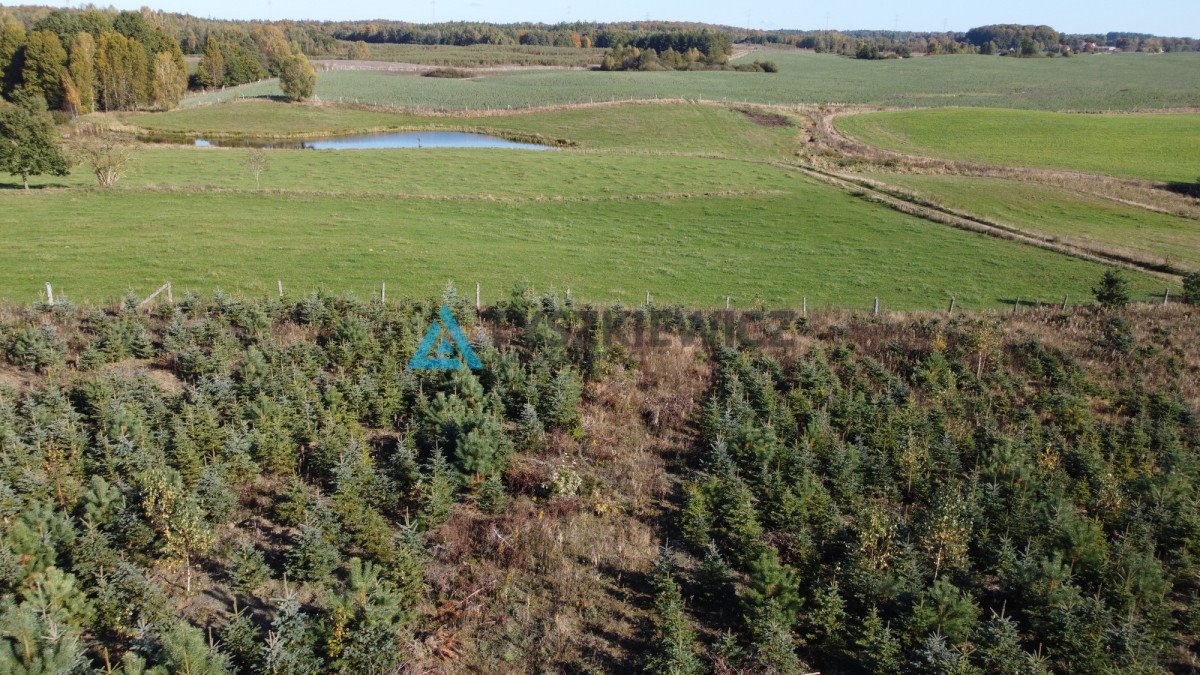 Działka budowlana na sprzedaż Węgorzynko  1 569m2 Foto 6