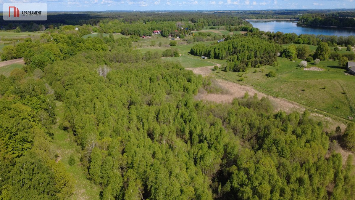 Na sprzedaż działka 8 000 m² w sercu Kaszub z dostępem do jezior Niedamowo  8 000m2 Foto 1