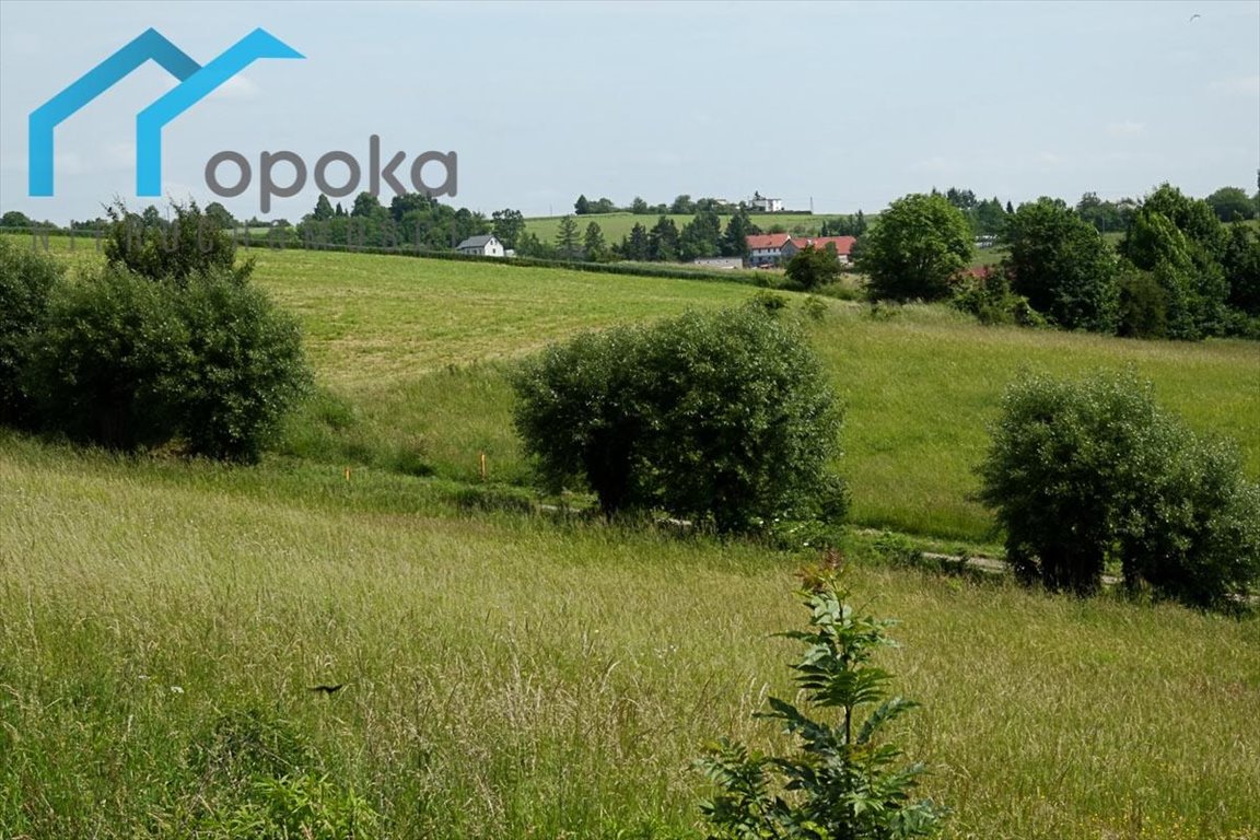 Widokowa działka 963 m² z dostępem do drogi, plan MN Zamarski  938m2 Foto 1
