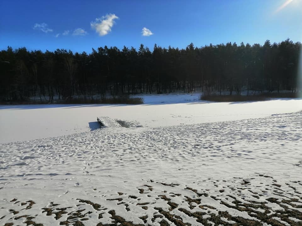 Działka leśna z prawem budowy na sprzedaż Byszyno  190 000m2 Foto 6