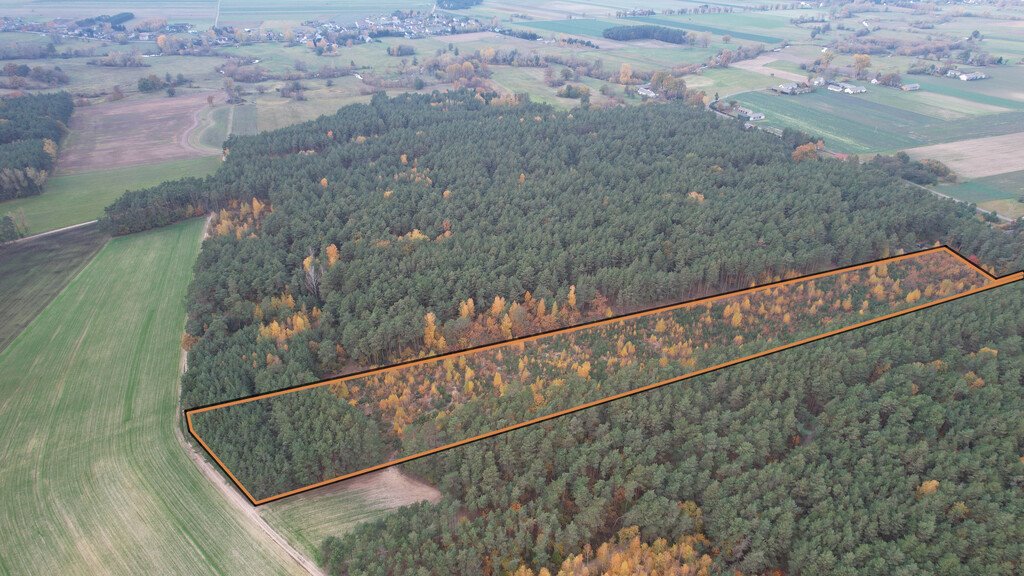 Działka leśna z prawem budowy na sprzedaż Stary Strachocin  30 060m2 Foto 6