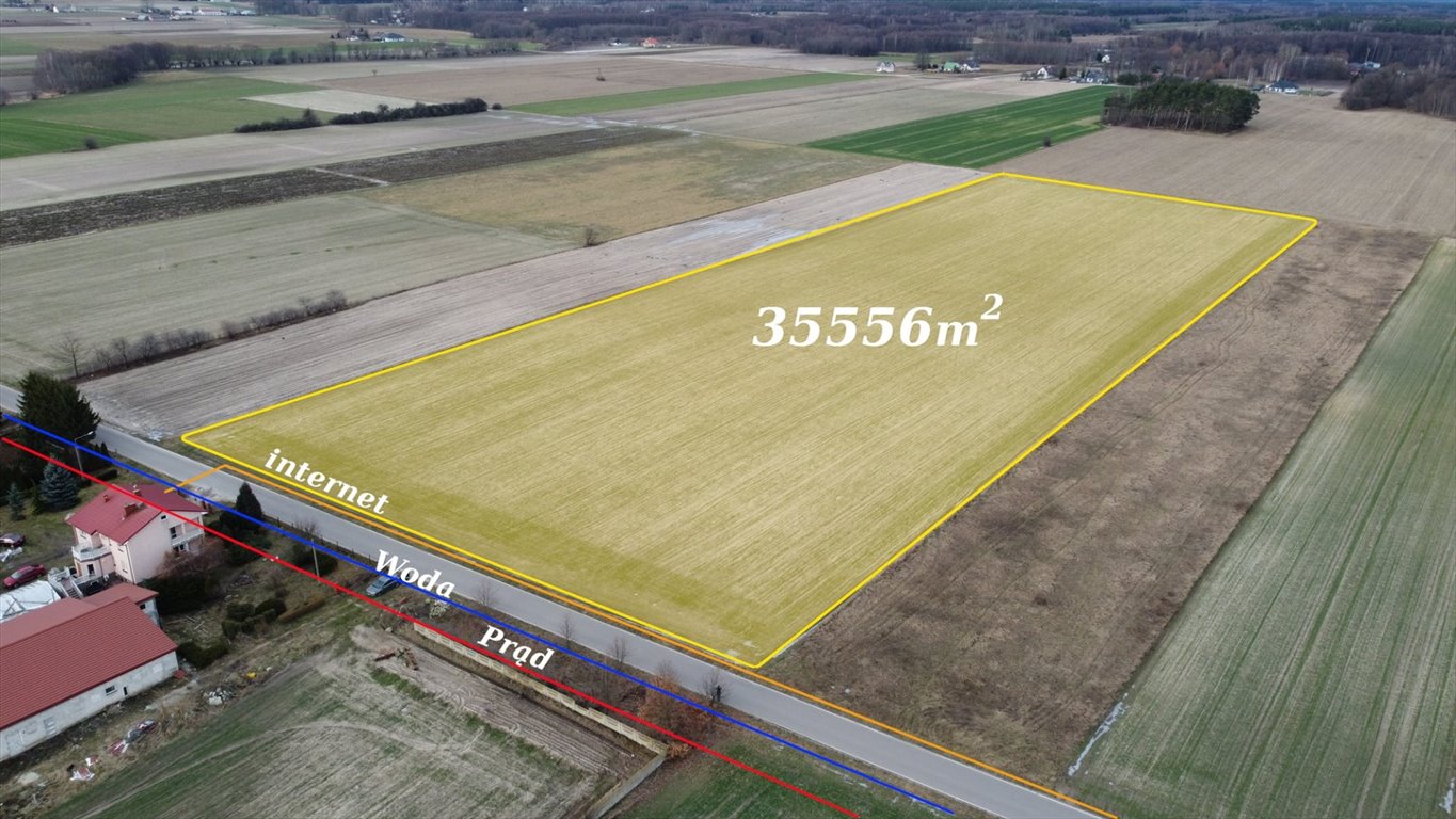 Działka 35 600 m² przy asfaltowej drodze, możliwość zabudowy Proboszczewice  35 600m2 Foto 1