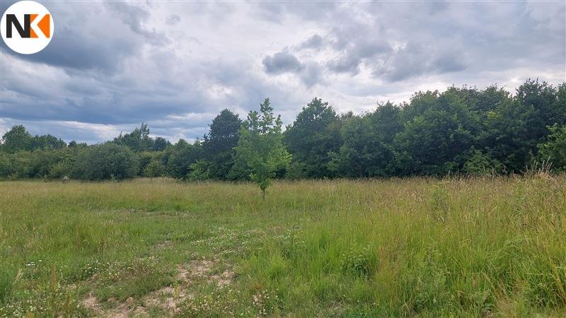 Działka budowlana na sprzedaż Gałęzinowo, Gałęzinowo, Gałęzinowo, Gałęzinowo  5 946m2 Foto 1