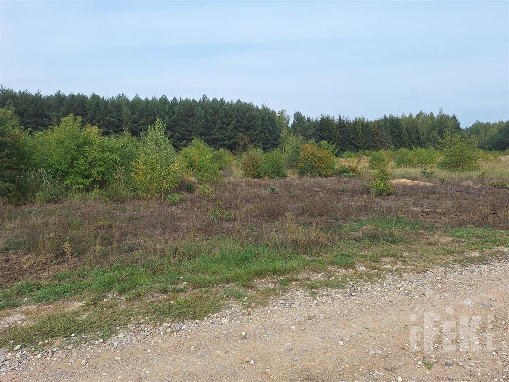 Działka komercyjna na sprzedaż Marków-Świnice  1 500m2 Foto 4