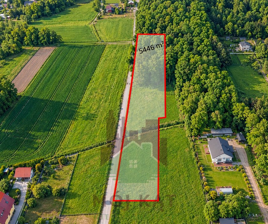 Działka 5446 m² z lasem - Bełk przy ul. Palowickiej Bełk, Palowicka  5 446m2 Foto 1