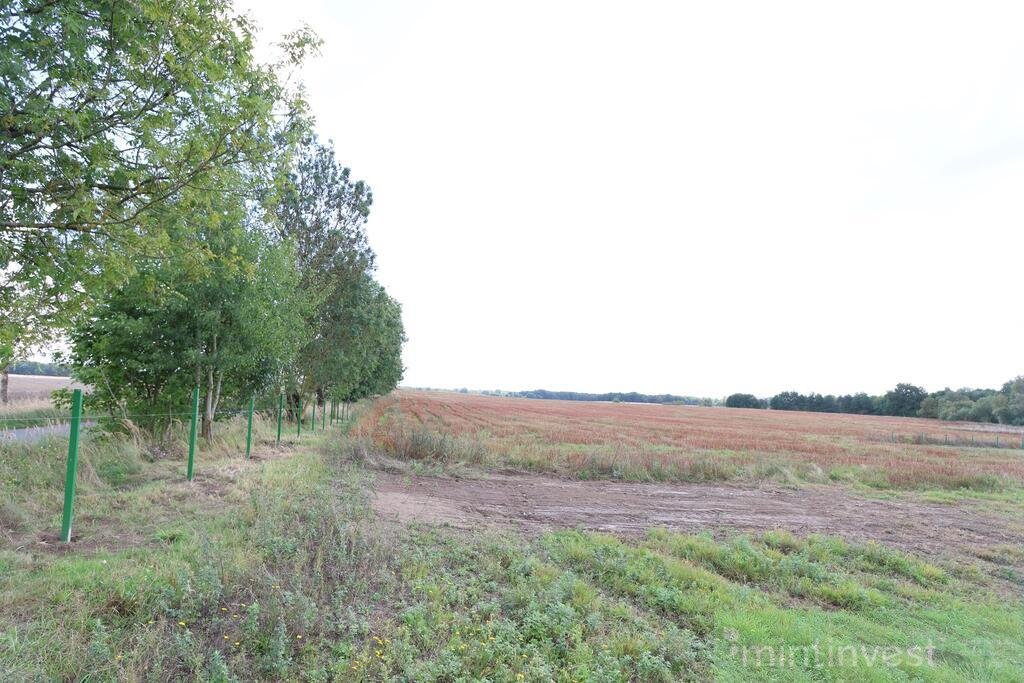 Działka budowlana na sprzedaż Dębice  1 504m2 Foto 1