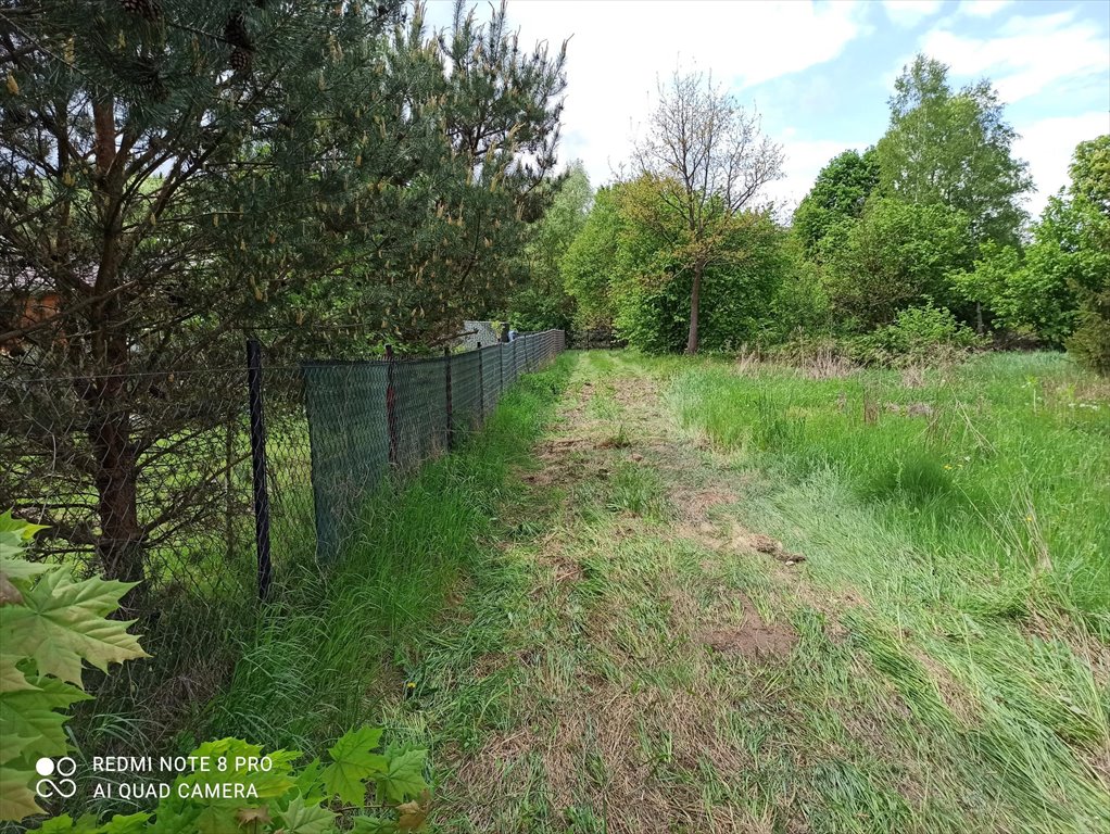 Działka z linią brzegową 80 m, ogrodzona, Grabie Grabie  3 049m2 Foto 1