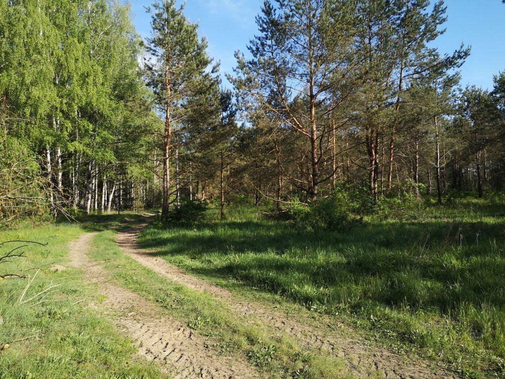 Działka budowlana na sprzedaż Karwica  36 100m2 Foto 4