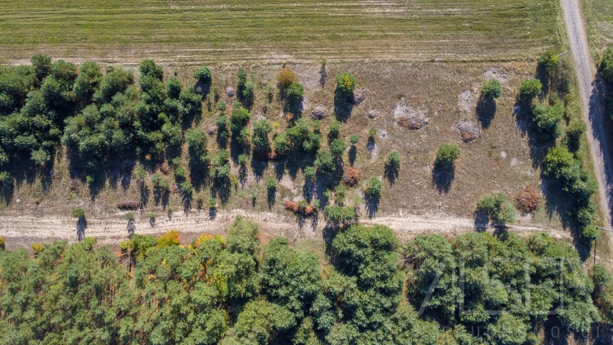 Działka rekreacyjna na sprzedaż Michałowo  9 500m2 Foto 5