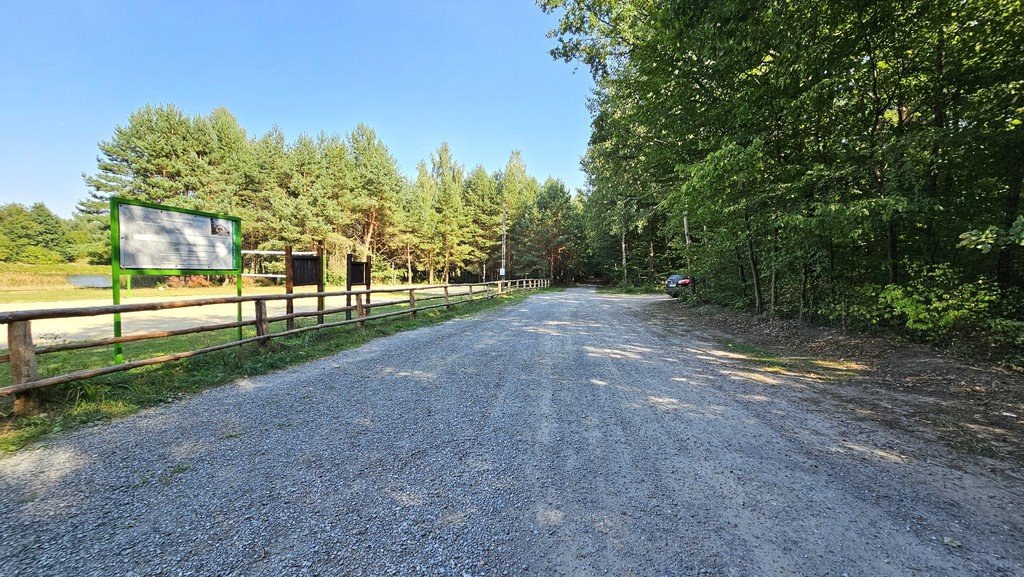 Działka budowlana na sprzedaż Pałecznica  2 100m2 Foto 14