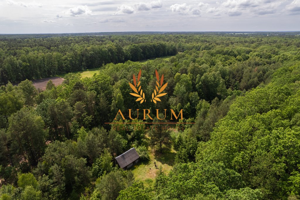 Działka z siedliskiem i lasem, 14 600 m², potencjał Leopoldów, Zielona  14 600m2 Foto 1