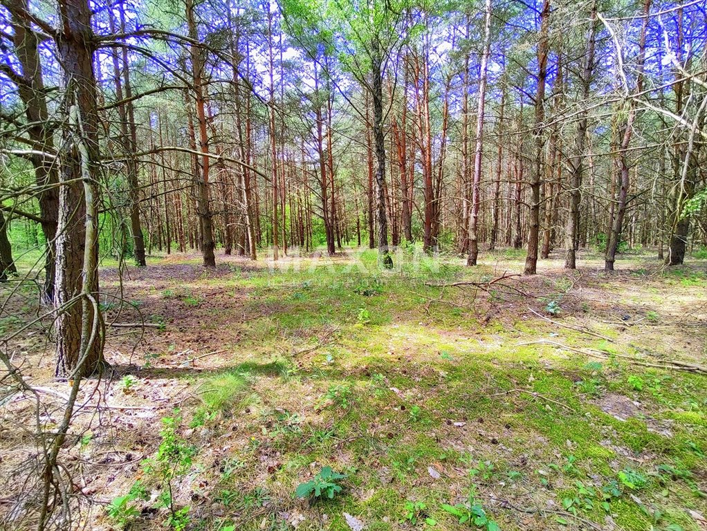 Działka budowlana na sprzedaż Wierzbica  2 228m2 Foto 10