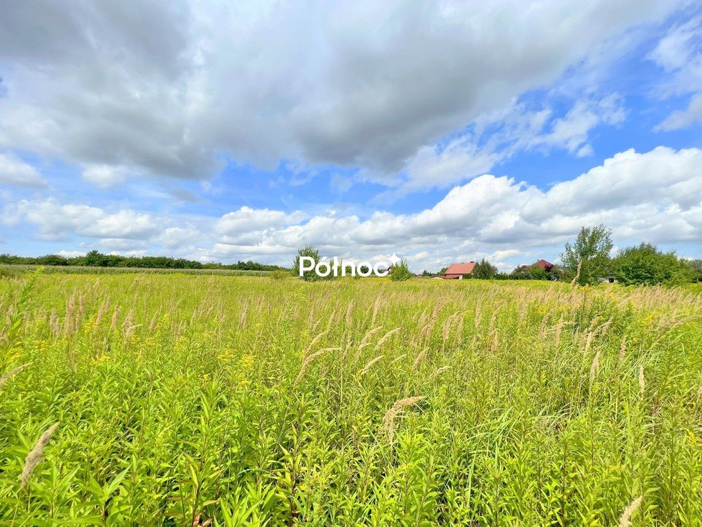 Działka usługowa 1,3ha z dojazdem - plan U1 Bielawa Bielawa, Zawilcowa  13 026m2 Foto 1