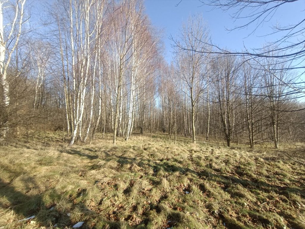 Działka budowlana na sprzedaż Piechowice, Łąkowa  1 300m2 Foto 4