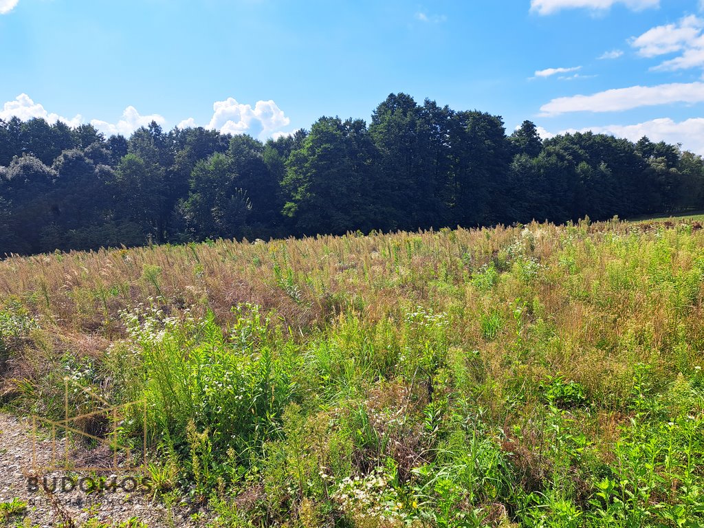 Działka budowlana na sprzedaż Wojnicz  2 400m2 Foto 5