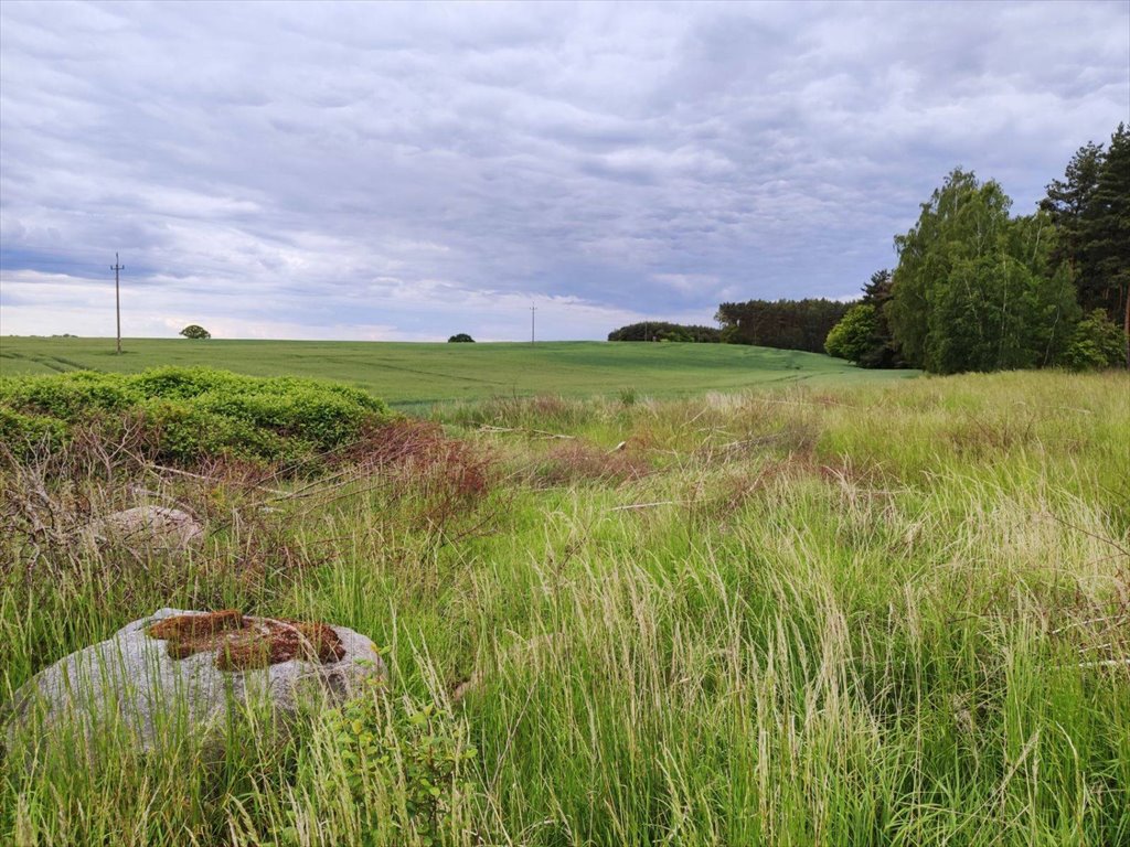 Działka budowlana na sprzedaż Kliszów, Kliszów  11 100m2 Foto 2