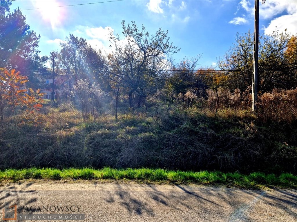 Działka budowlana na sprzedaż Minoga  4 600m2 Foto 3