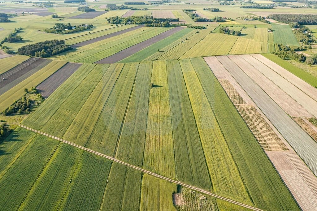 Działka rolna na sprzedaż Błogosławie  10 300m2 Foto 7