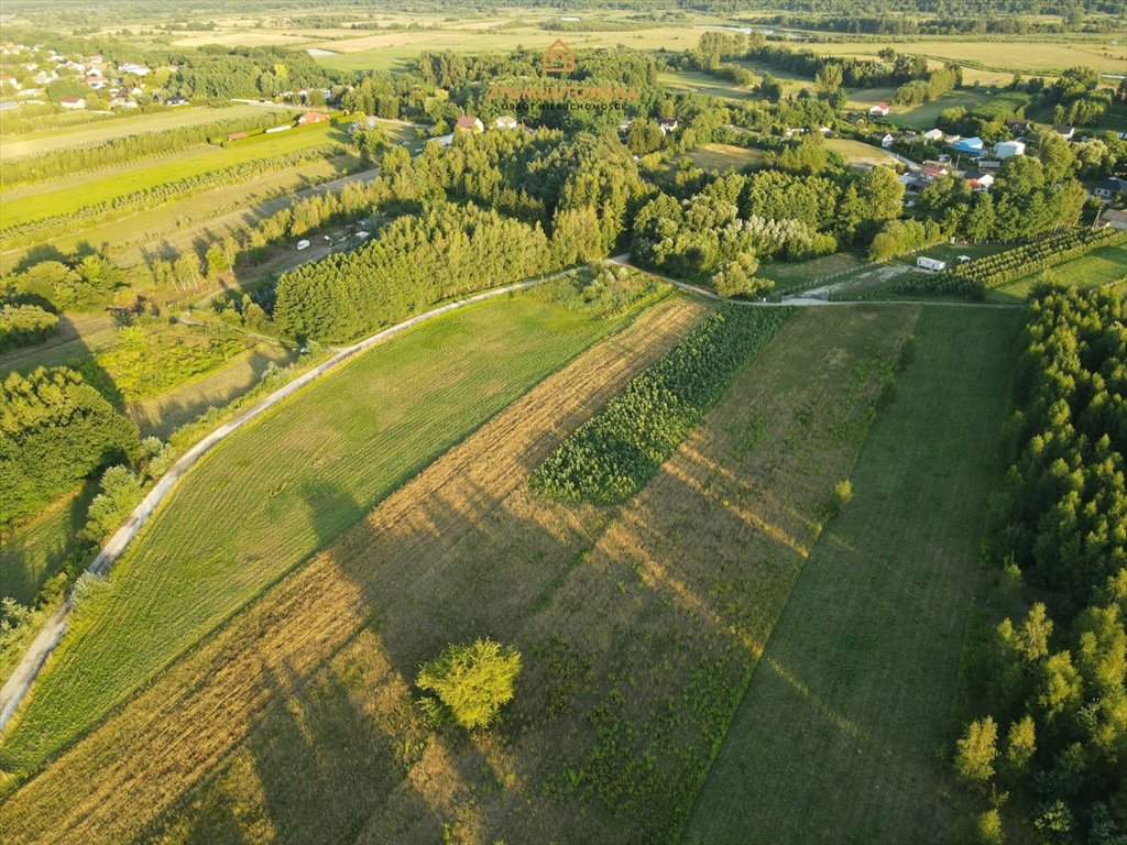 Działka inna na sprzedaż Nowe Miasto nad Pilicą, Pobiedna  9 806m2 Foto 8