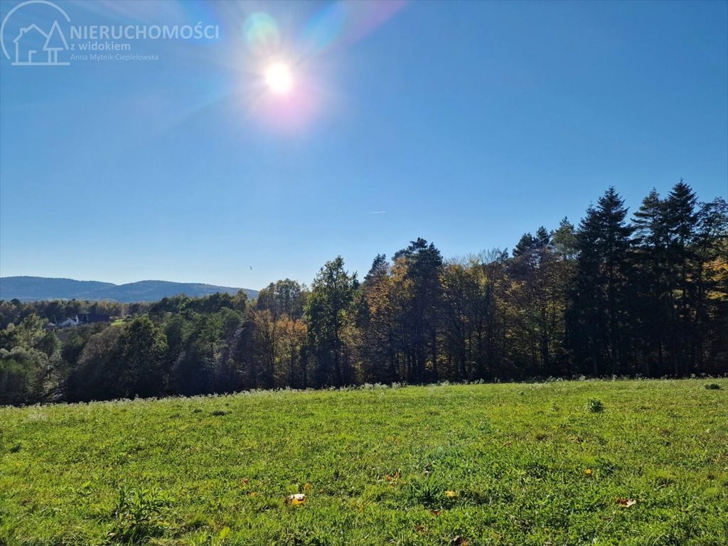 Działka budowlana na sprzedaż Błażkowa  2 559m2 Foto 3