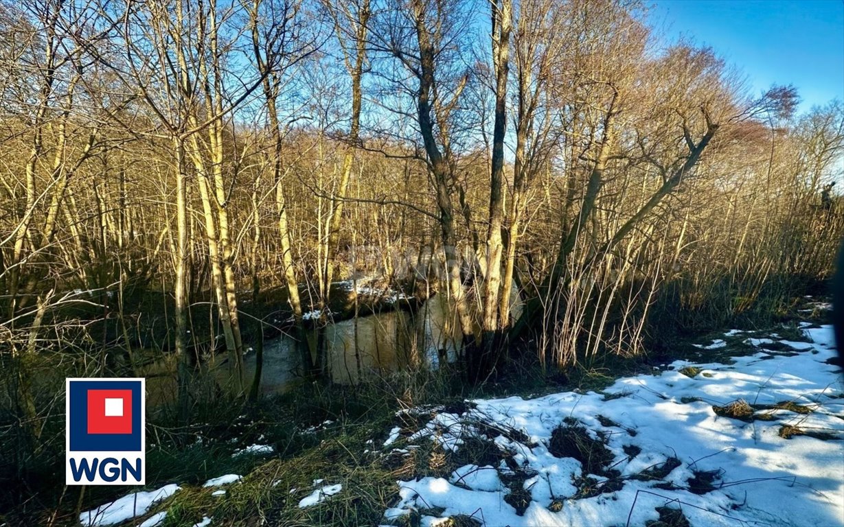 Działka rolna na sprzedaż Dębnica Kaszubska, Ks. Antoniego Kani  5 700m2 Foto 7