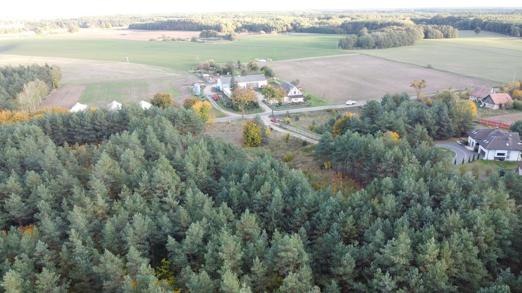 Działka budowlana na sprzedaż Nowy Jasiniec  4 347m2 Foto 4