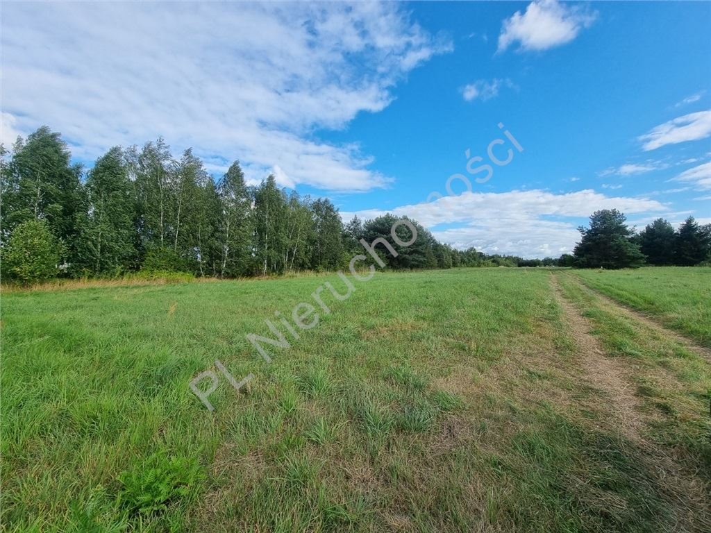 Działka budowlana na sprzedaż Rusiec  1 000m2 Foto 1