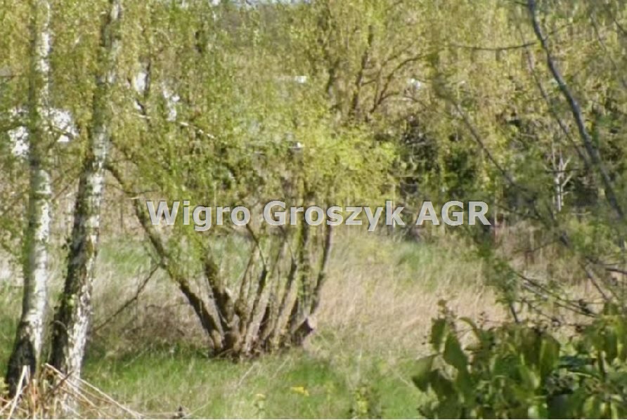 Działka 3 100 m² z stawem i możliwością zabudowy Cybulice Małe  3 100m2 Foto 1