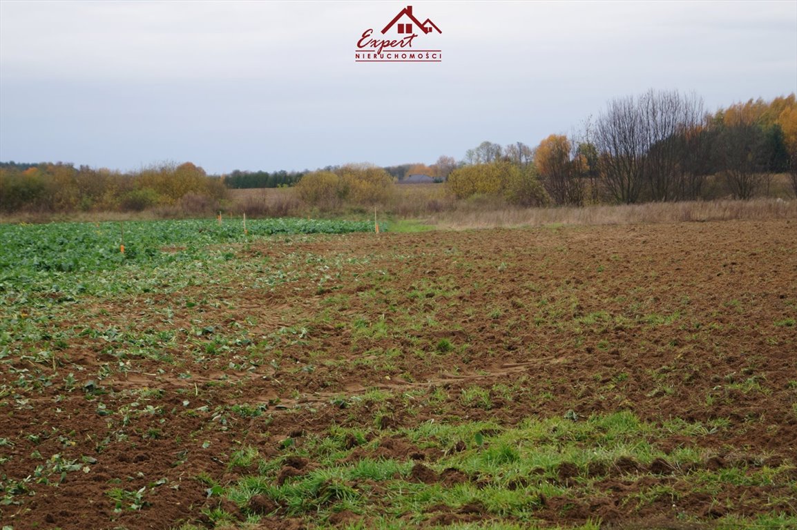 Działka budowlana na sprzedaż Rudzienice  1 233m2 Foto 5