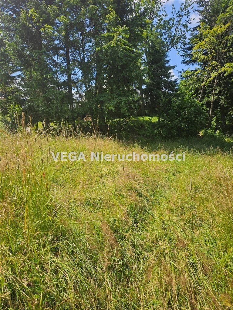 Zdjęcie 4