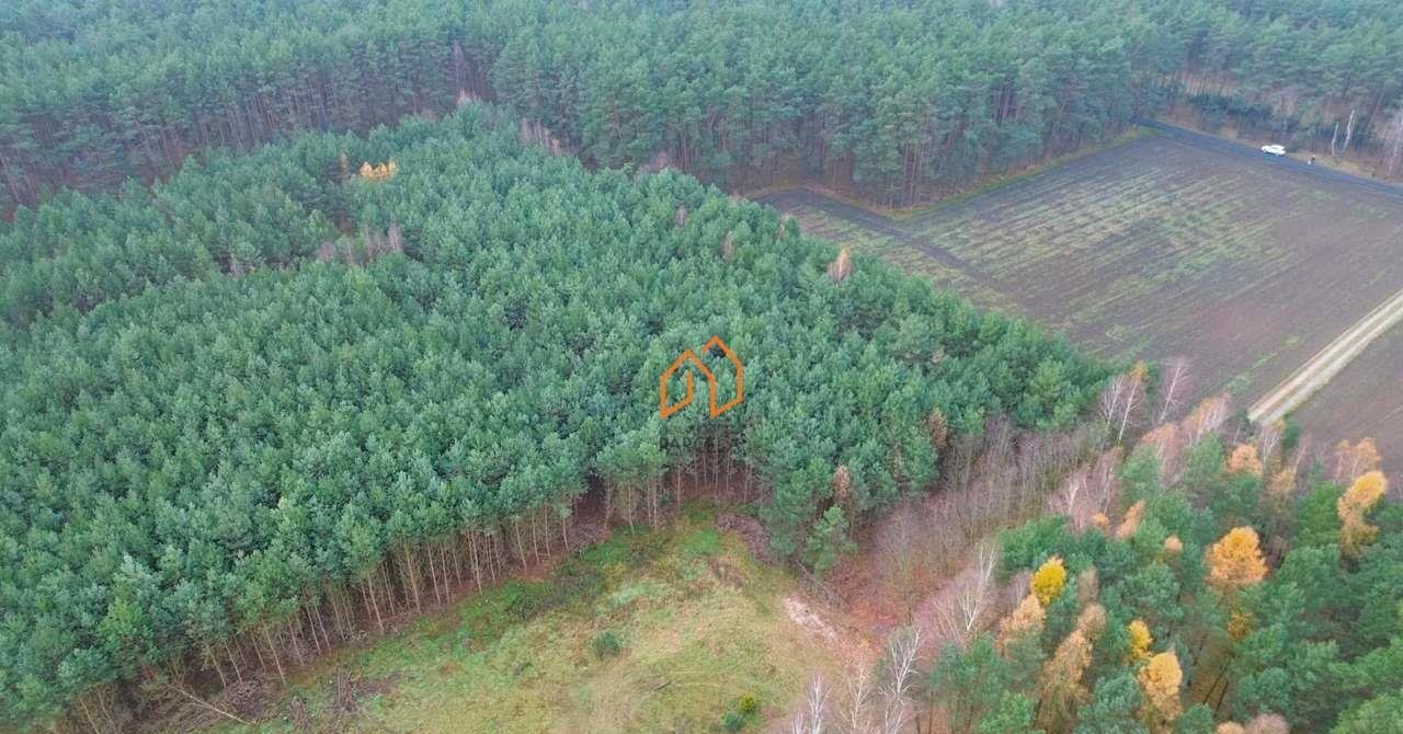 Atrakcyjna działka budowlana w lesie, 2564 m², media Młodzikówko  2 564m2 Foto 1