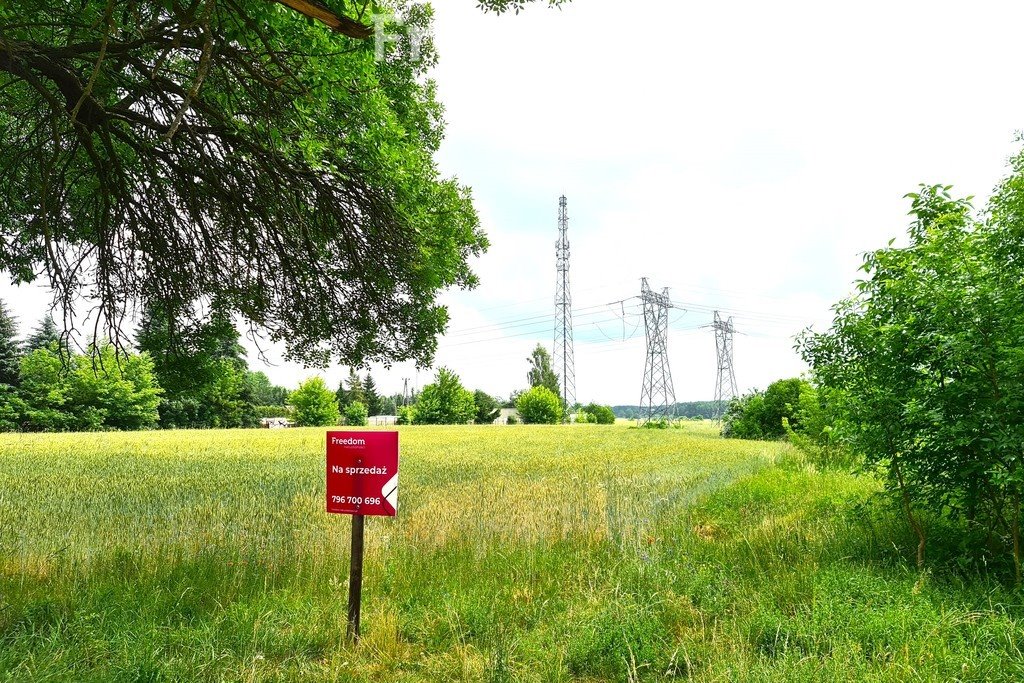 Działka komercyjna na sprzedaż Międzyrzec Podlaski, Brzeska  24 800m2 Foto 3