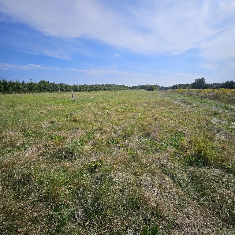 Działka rolna na sprzedaż Prace Małe, Polna  27 892m2 Foto 2