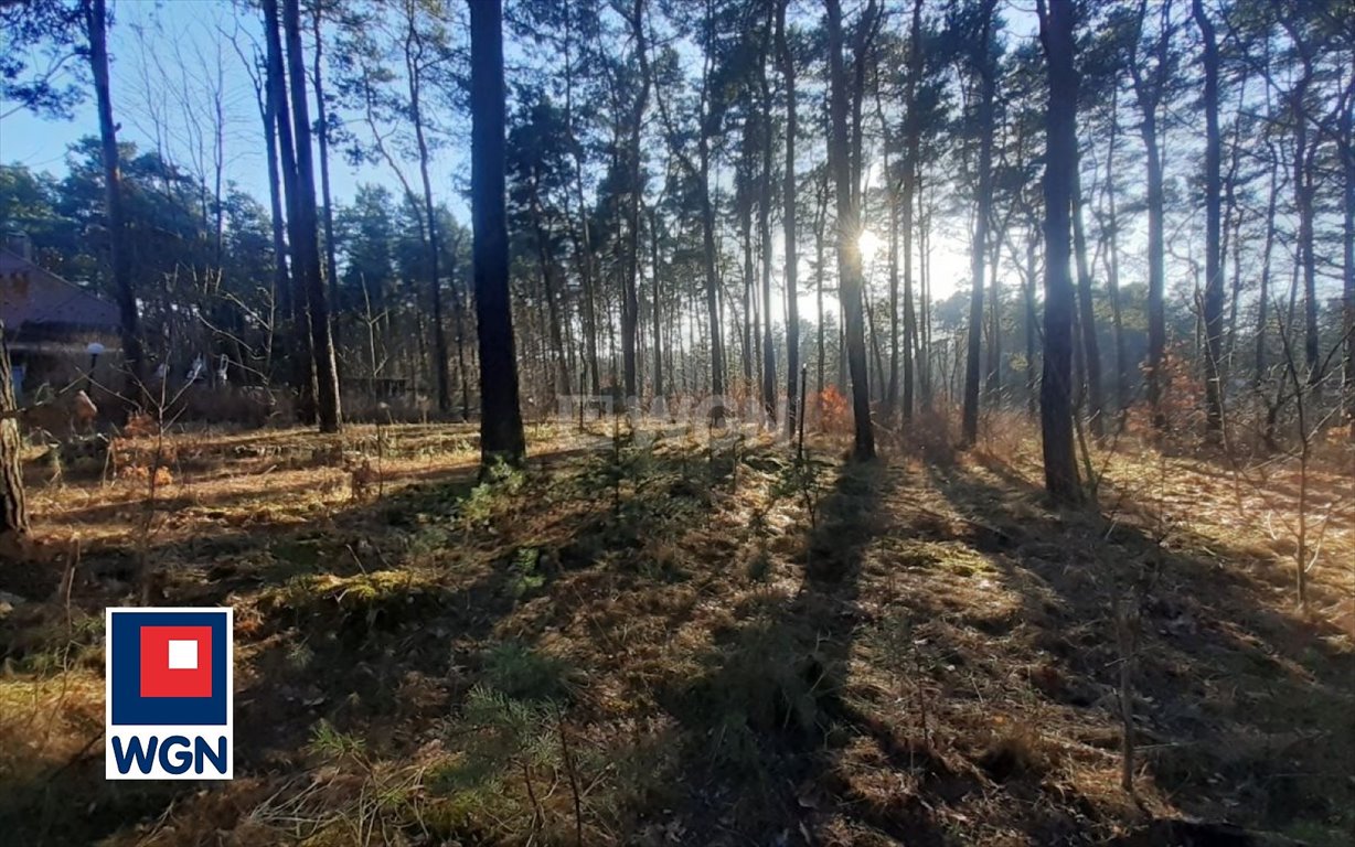 Dom na sprzedaż Żarki-Letnisko, Centrum, Grunwaldzka  400m2 Foto 7