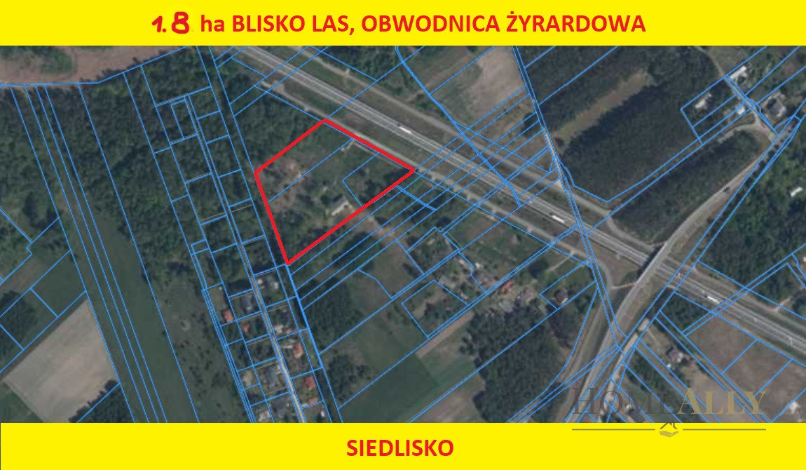 Działka siedliskowa na sprzedaż Zazdrość  18 150m2 Foto 12