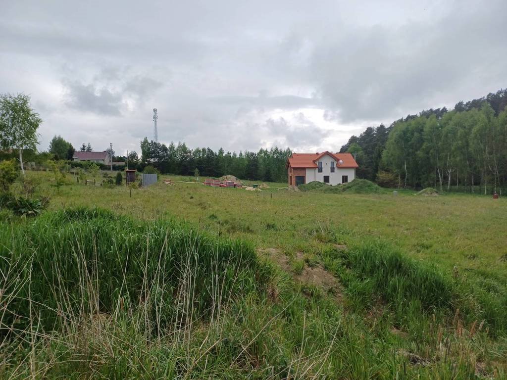 Działka pod zabudowę 5544 m2 w Leźnie, blisko Trójmiasta Leźno, Jagodowe Wzgórze  5 544m2 Foto 1