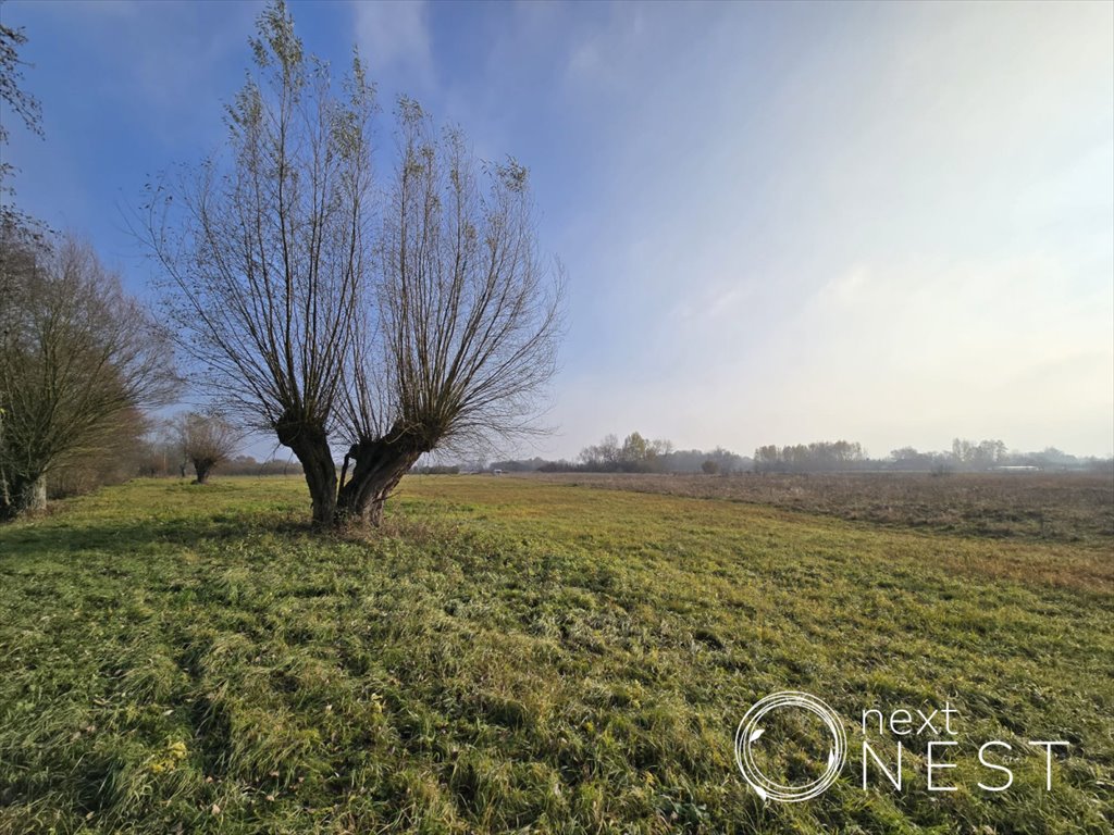 Działka siedliskowa na sprzedaż Wilczkowice Dolne  8 000m2 Foto 1