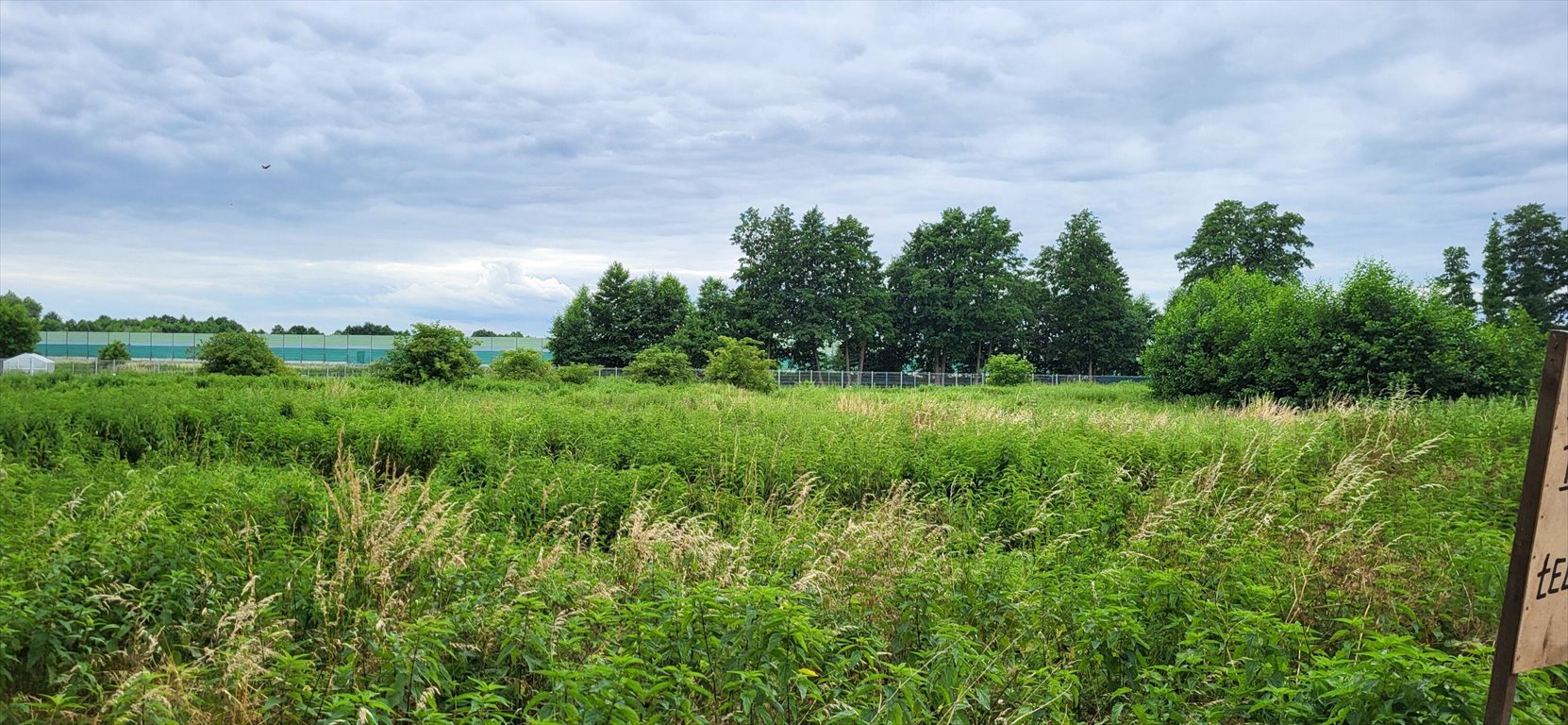 Działka inna na sprzedaż Grudziądz  2 789m2 Foto 2