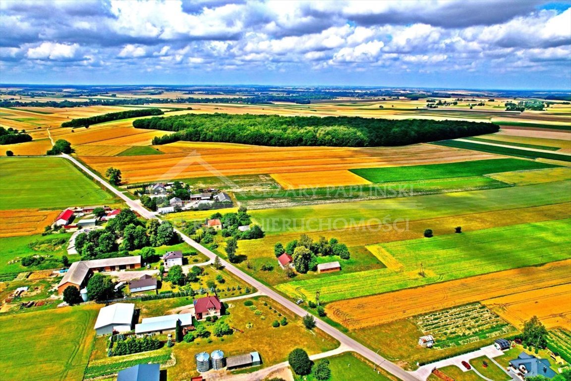 Działka budowlana na sprzedaż Józwów, Józwów  3 000m2 Foto 6