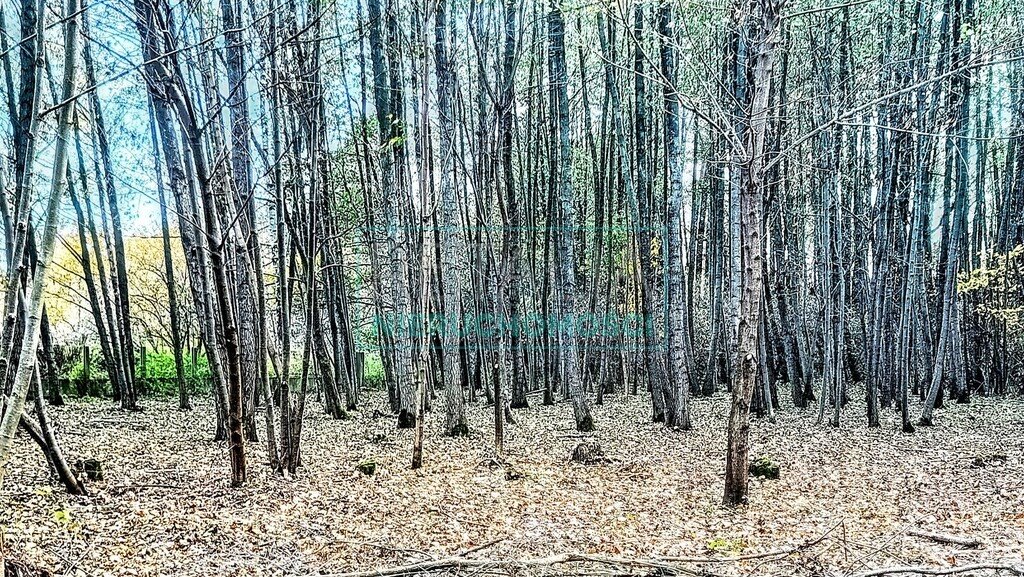 Działka budowlana na sprzedaż Radonie  1 500m2 Foto 7