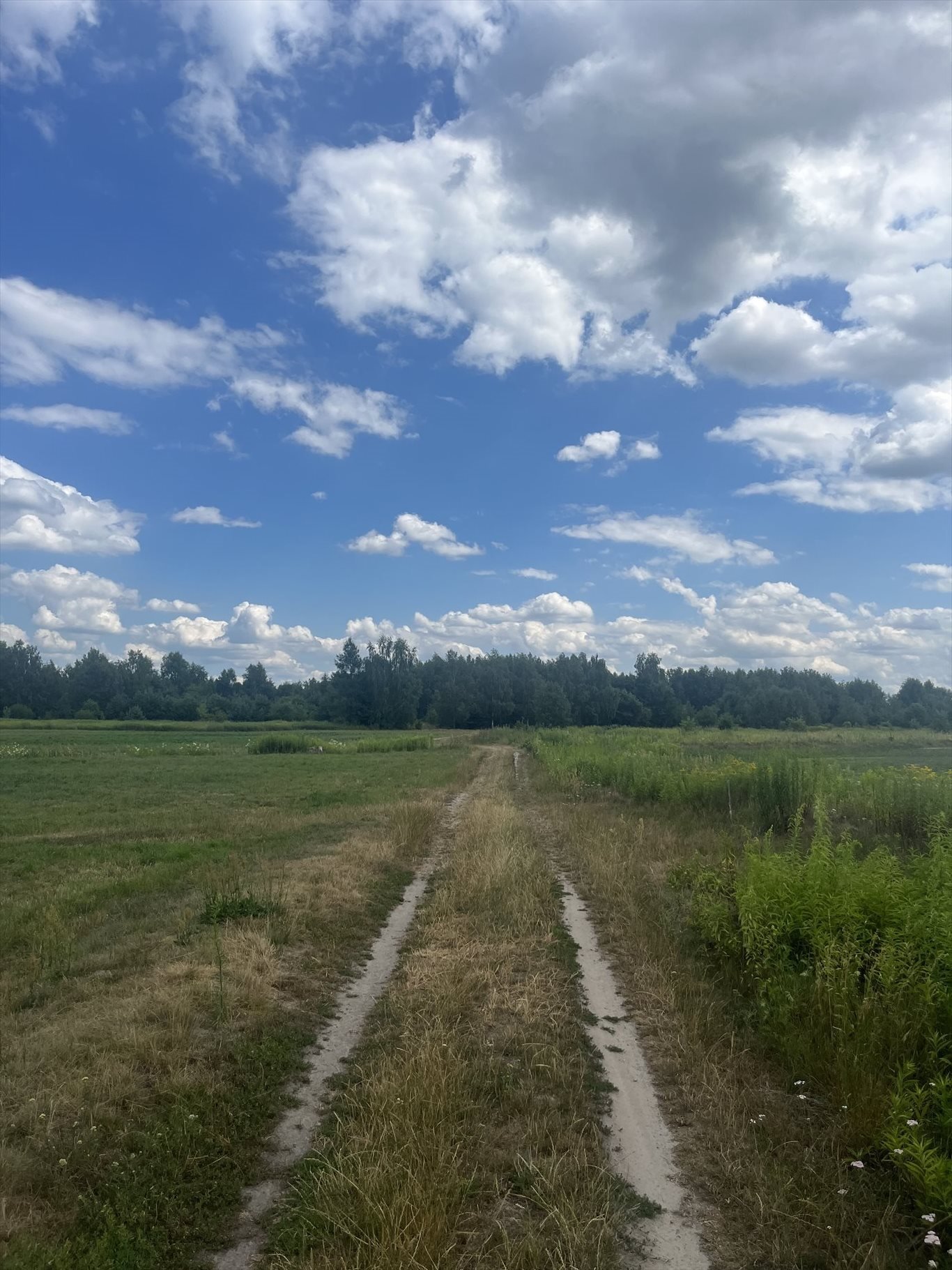 Działka rolna na sprzedaż Stare Babice, Zalesie  3 835m2 Foto 3