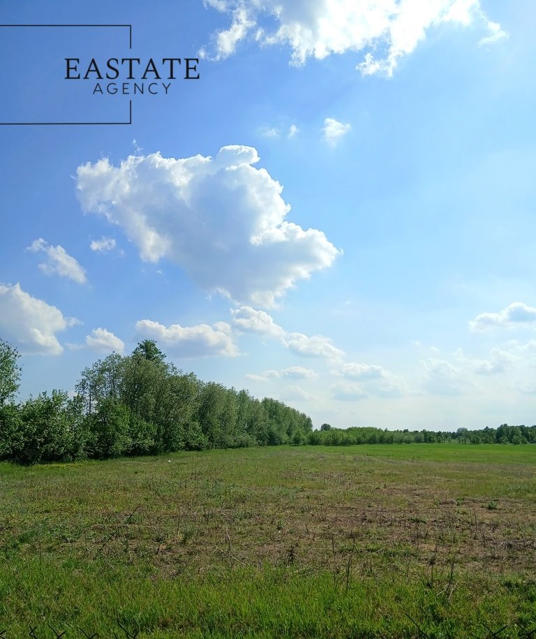 Działka 1000 m² w Wincentowie – las, spokój, komfort Wincentów  1 000m2 Foto 1