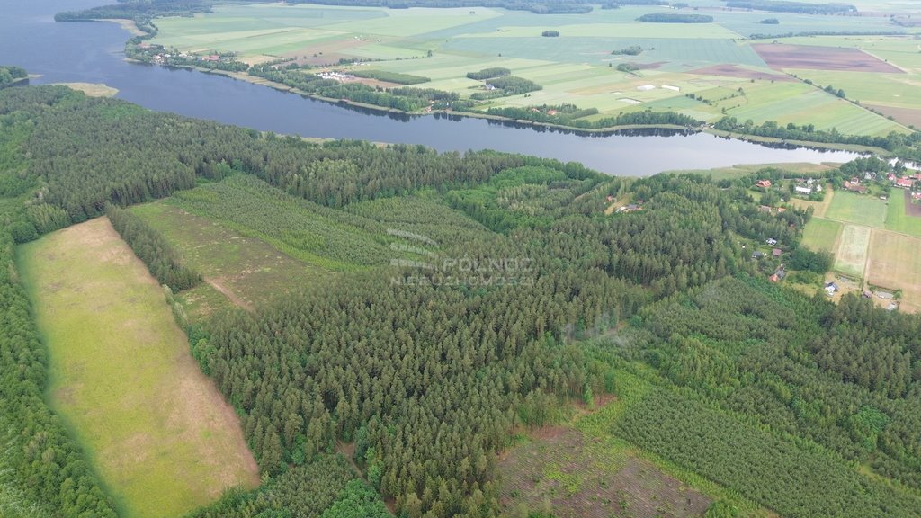 Działka leśna na sprzedaż Makosieje  60 900m2 Foto 2