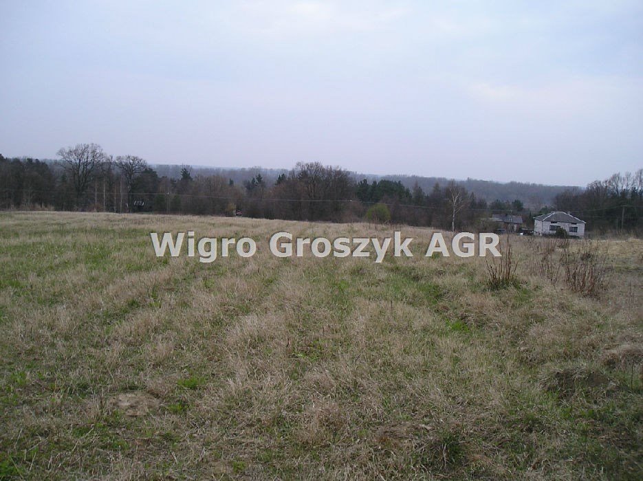Działka rolna na sprzedaż Wólka Przybójewska  12 042m2 Foto 1