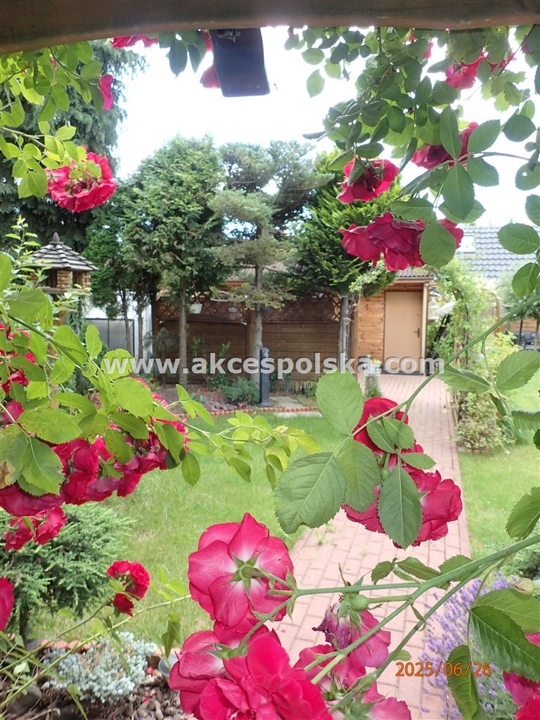 Działka ROD z domkiem, meblami i narzędziami – atrakcyjna oferta Warszawa, Żoliborz, Gwiaździsta  300m2 Foto 1