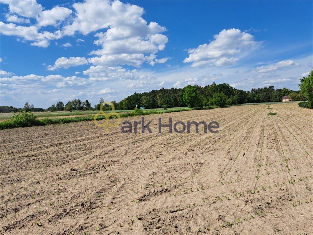 Działka budowlana na sprzedaż Zgliniec  1 059m2 Foto 3